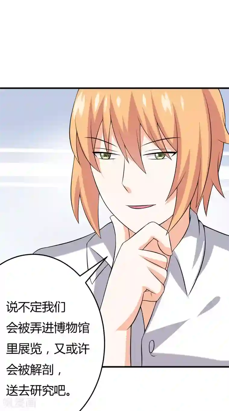 在下铲屎官：喵王在上第28话 水蛇的袭击