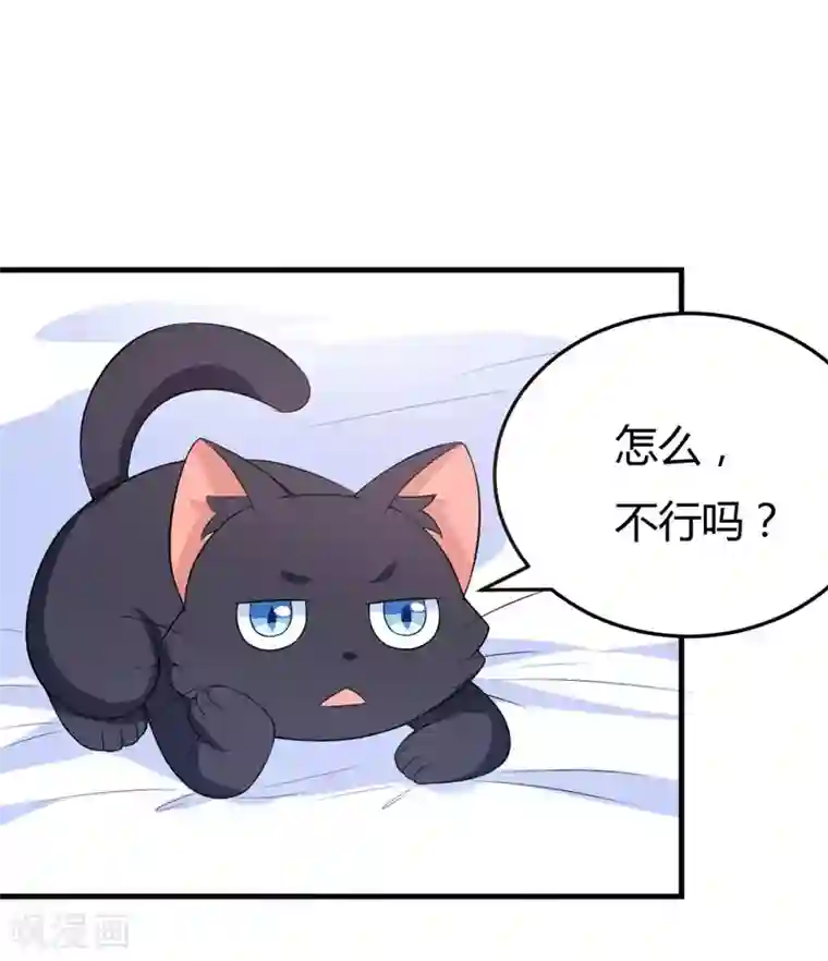 在下铲屎官：喵王在上第29话 失血过多的下场