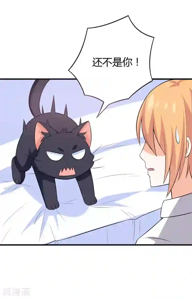 在下铲屎官：喵王在上第29话 失血过多的下场