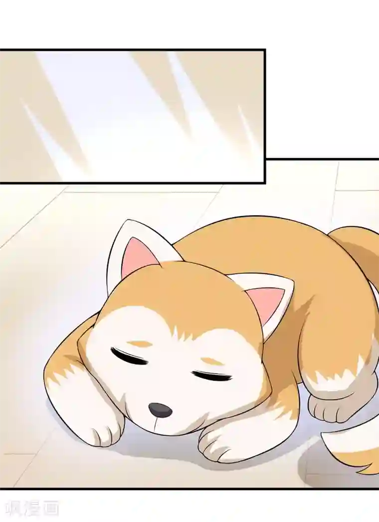 在下铲屎官：喵王在上第29话 失血过多的下场