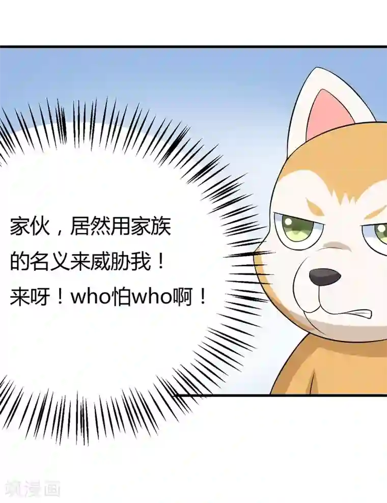 在下铲屎官：喵王在上第29话 失血过多的下场