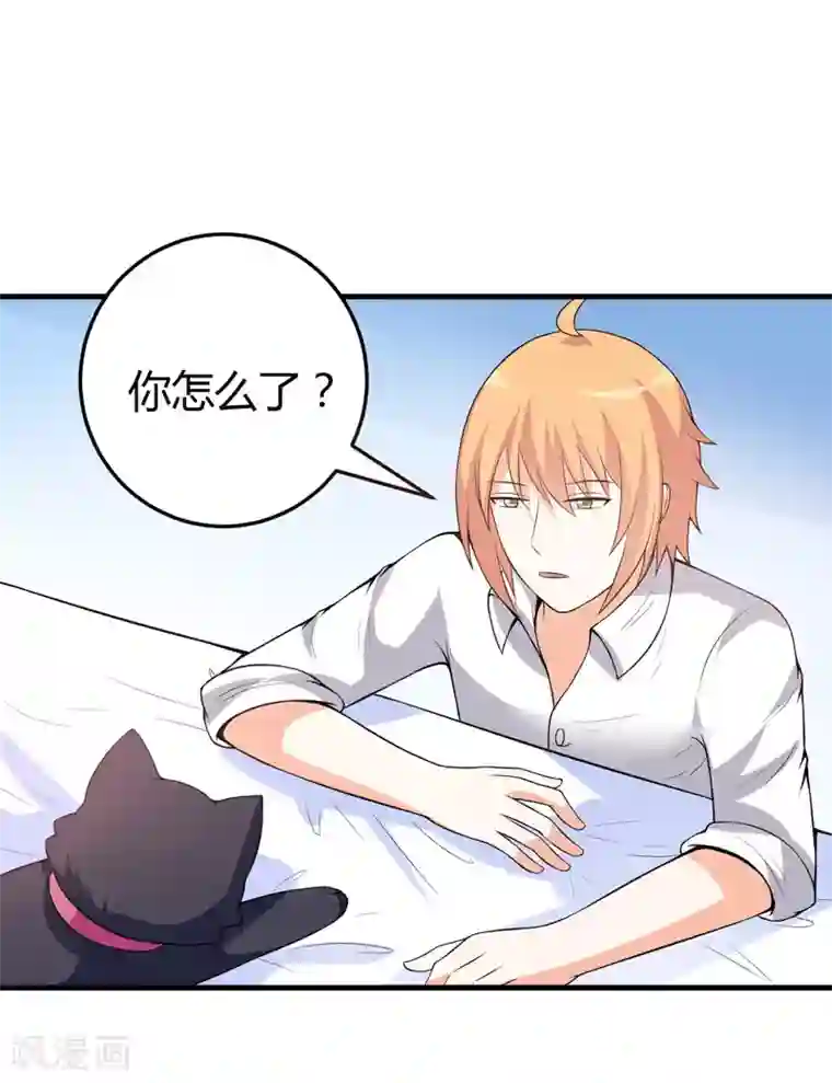 在下铲屎官：喵王在上第29话 失血过多的下场