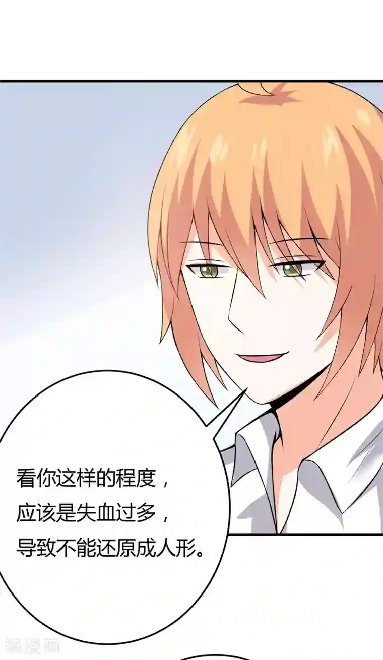 在下铲屎官：喵王在上第29话 失血过多的下场