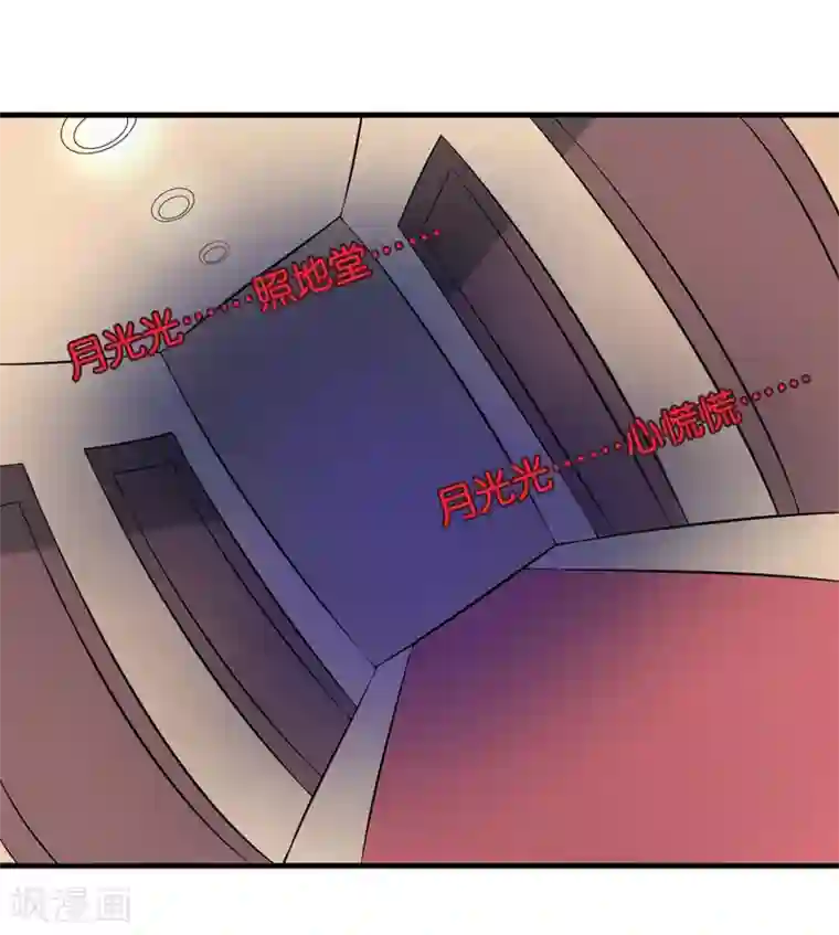 在下铲屎官：喵王在上第30话 林正英大人，求保佑！