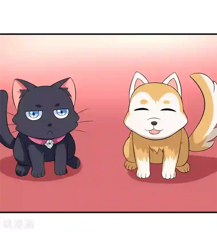 在下铲屎官：喵王在上第30话 林正英大人，求保佑！