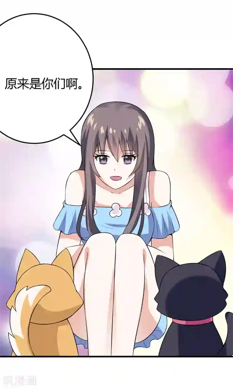 在下铲屎官：喵王在上第30话 林正英大人，求保佑！