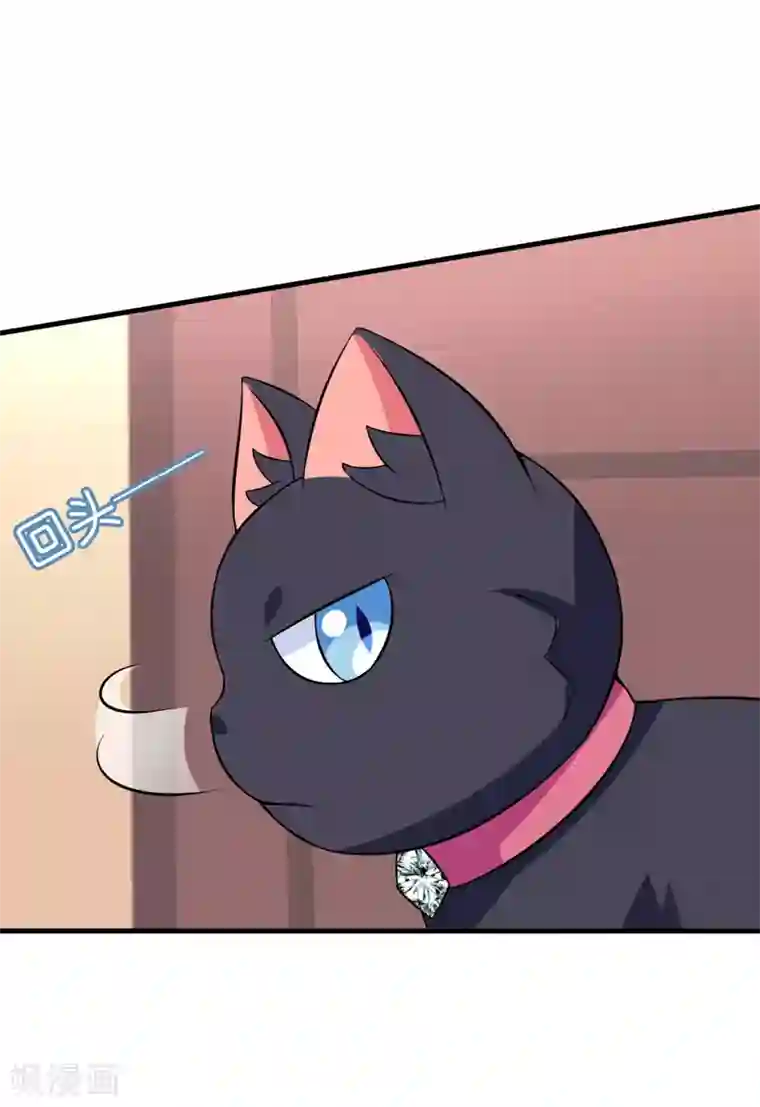 在下铲屎官：喵王在上第30话 林正英大人，求保佑！