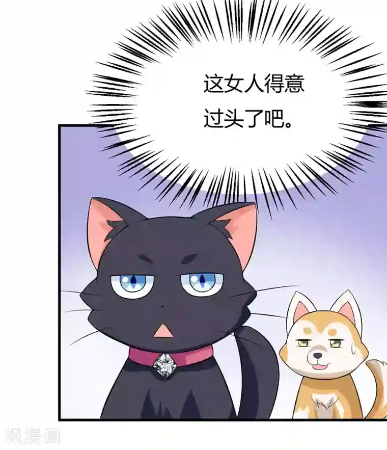 在下铲屎官：喵王在上第31话 王者财团的邀请