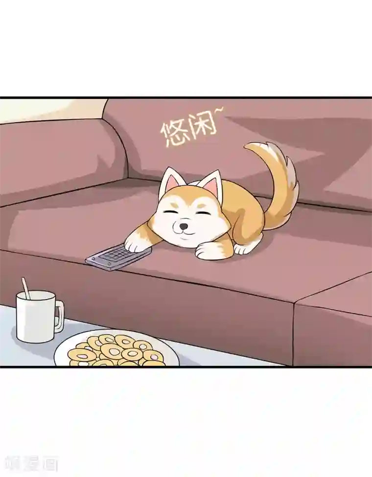 在下铲屎官：喵王在上第32话 死鬼，不要碰我的屁股！