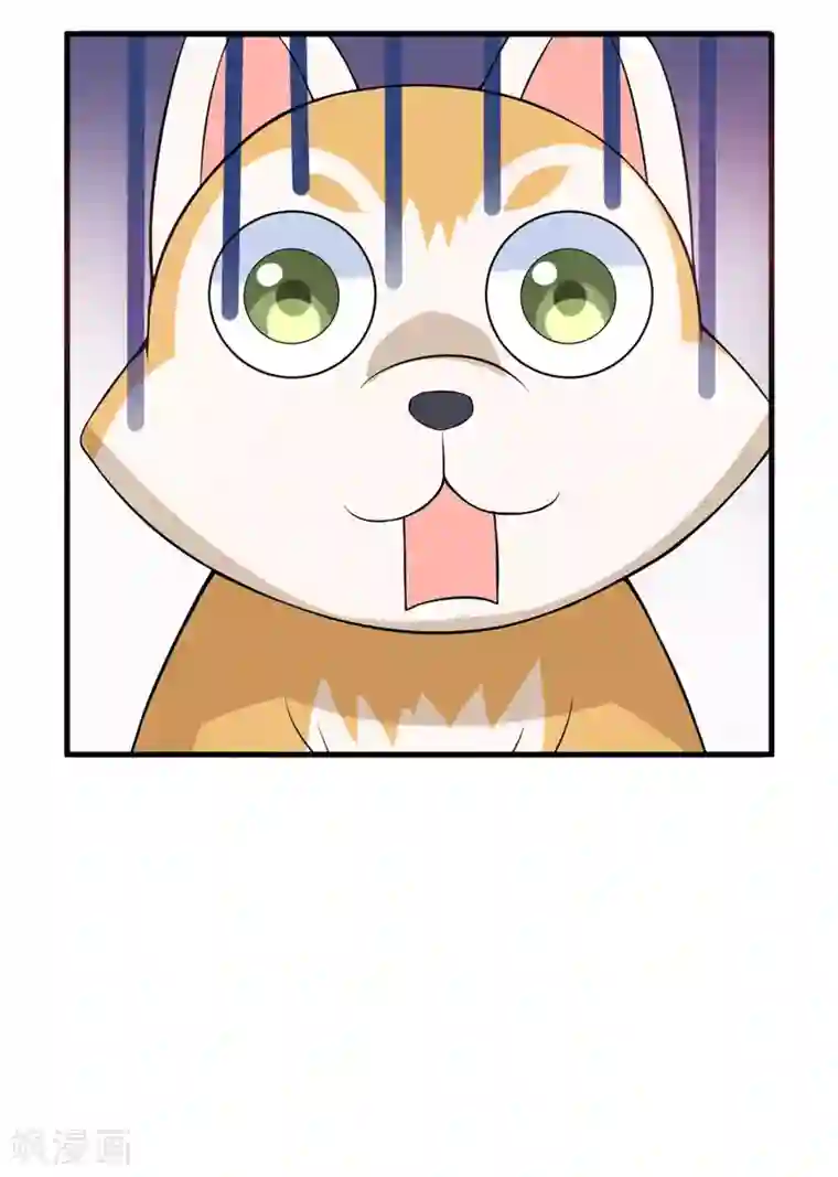 在下铲屎官：喵王在上第32话 死鬼，不要碰我的屁股！