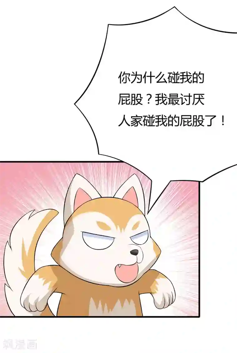 在下铲屎官：喵王在上第32话 死鬼，不要碰我的屁股！