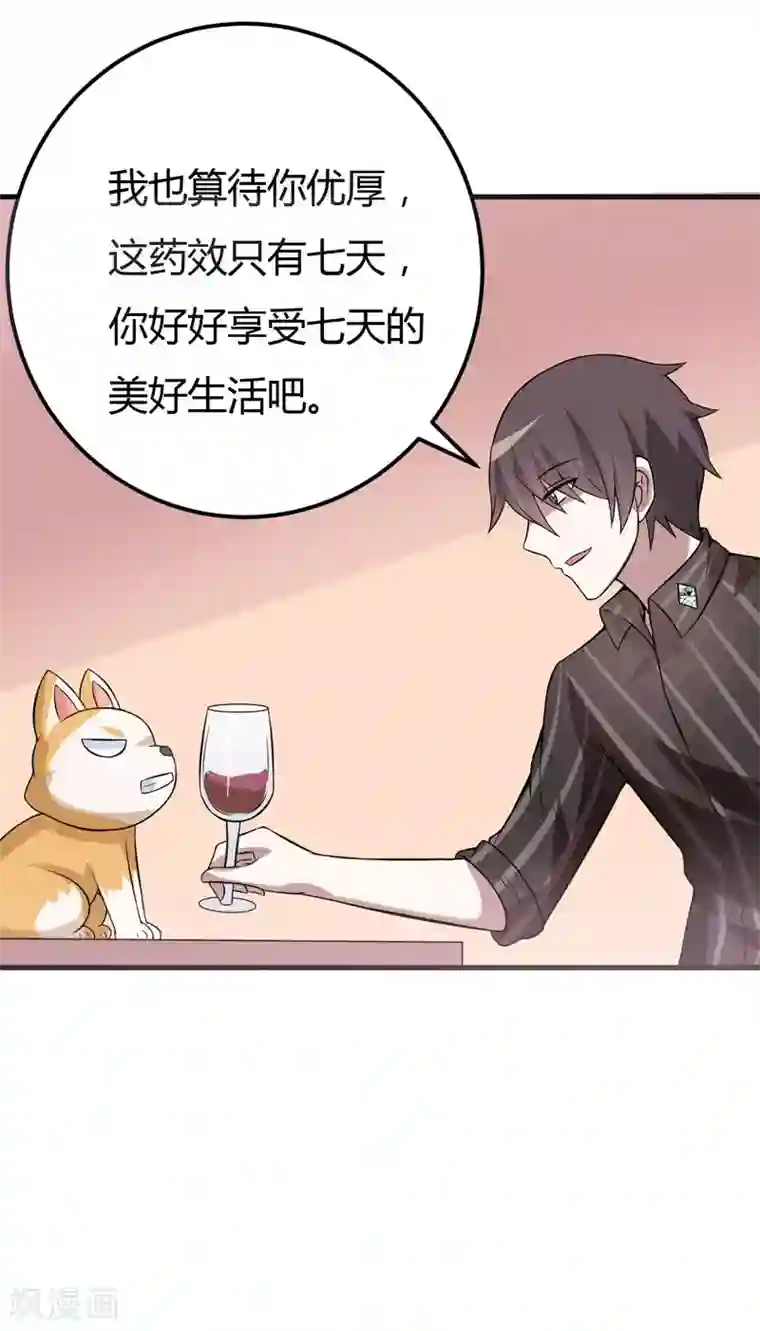 在下铲屎官：喵王在上第37话 只能看，不能吃