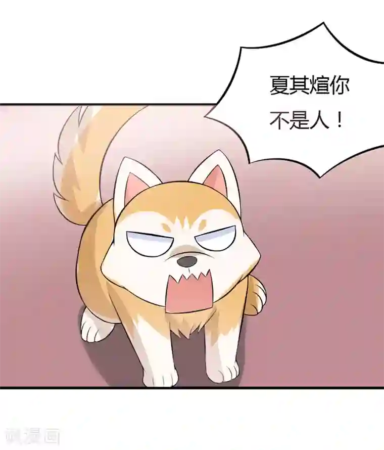 在下铲屎官：喵王在上第37话 只能看，不能吃