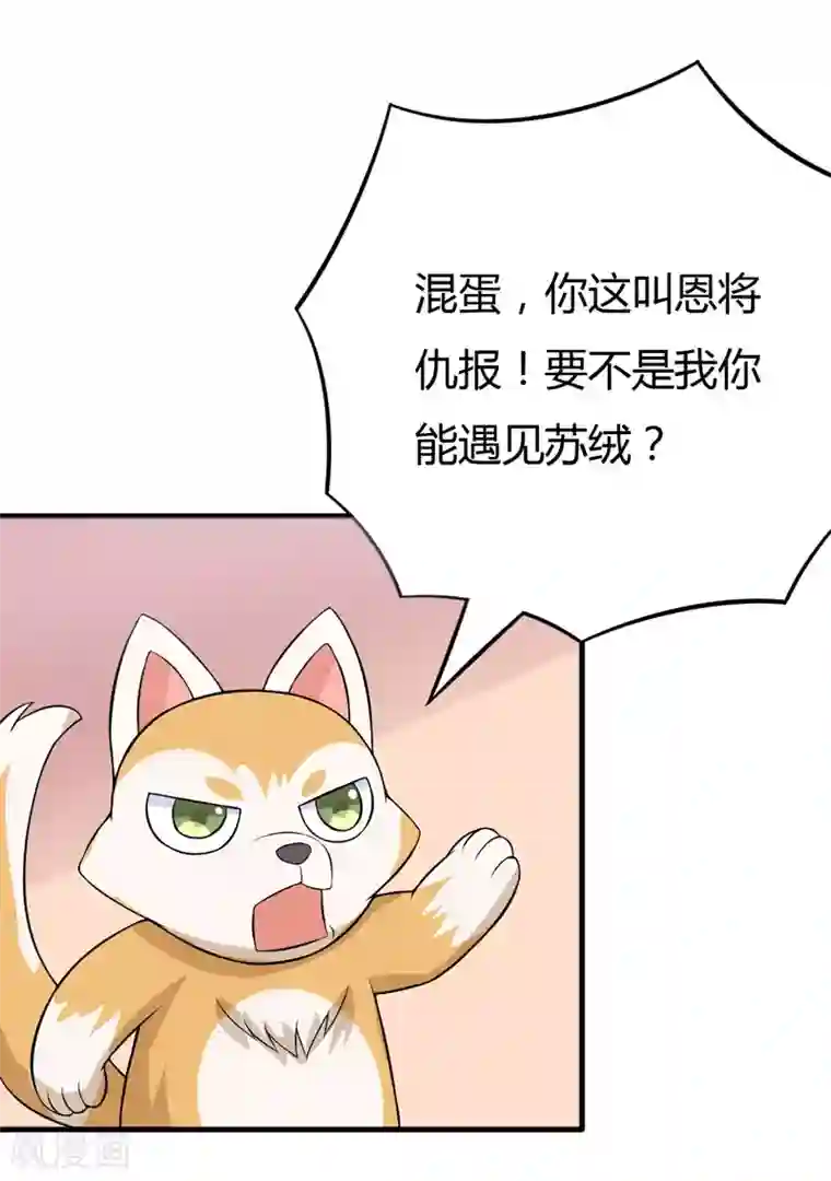 在下铲屎官：喵王在上第37话 只能看，不能吃