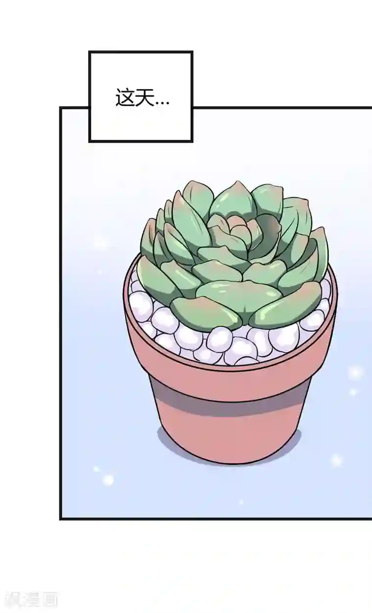 在下铲屎官：喵王在上第42话 跟偶像亲密接触的机会