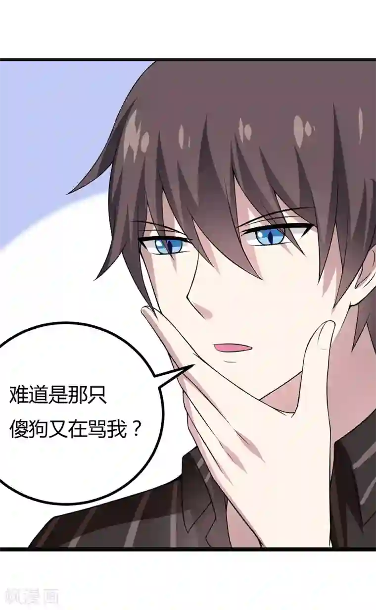 在下铲屎官：喵王在上第42话 跟偶像亲密接触的机会