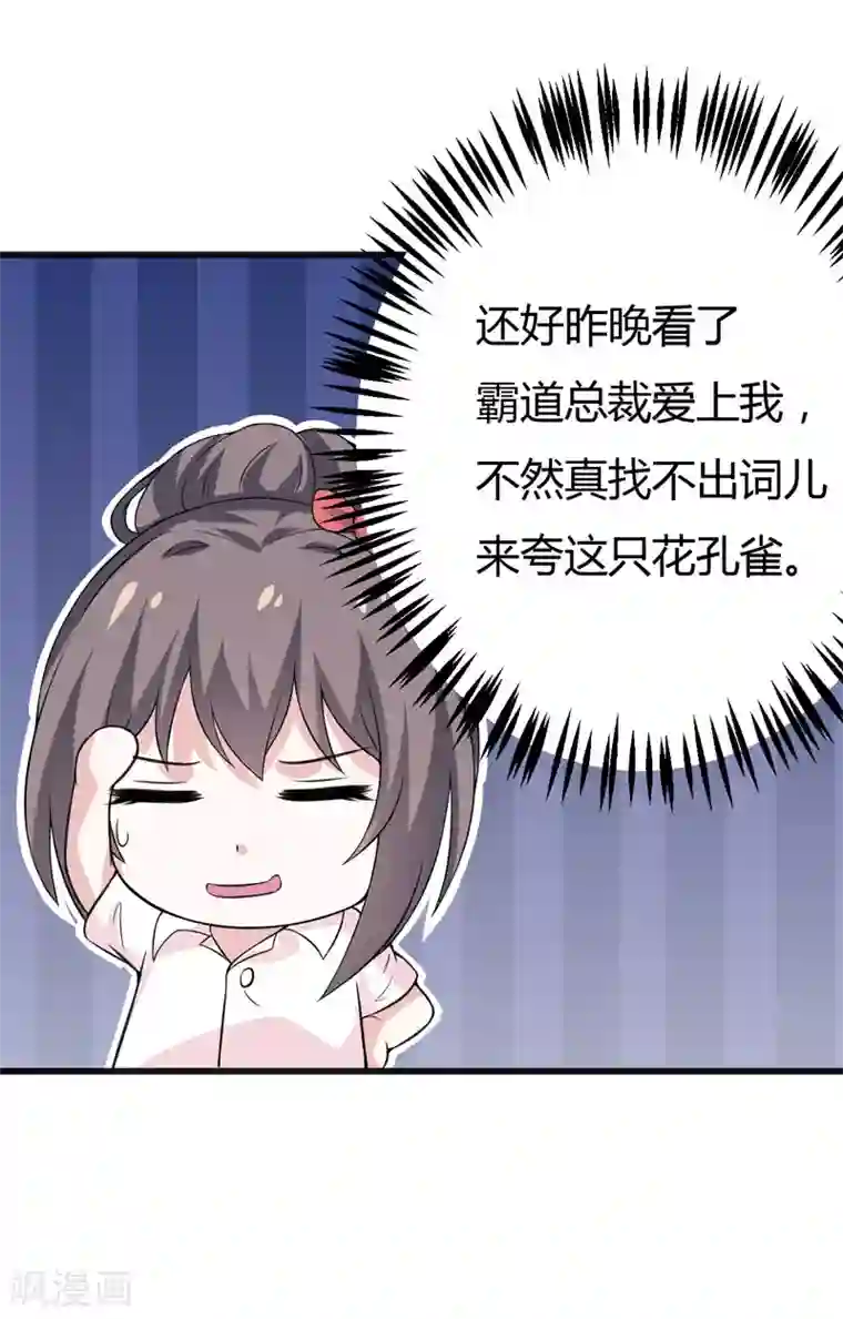 在下铲屎官：喵王在上第42话 跟偶像亲密接触的机会