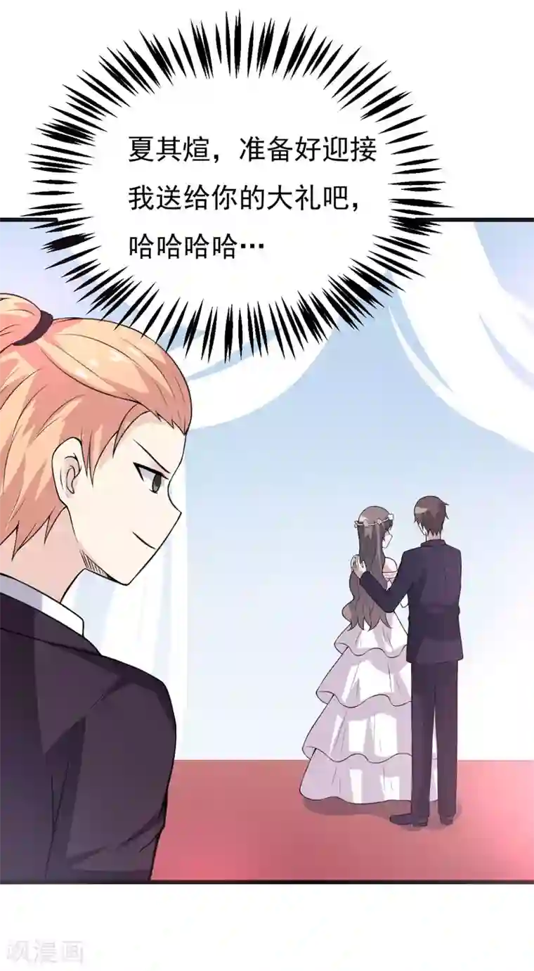 在下铲屎官：喵王在上第48话 春宵一刻值千金