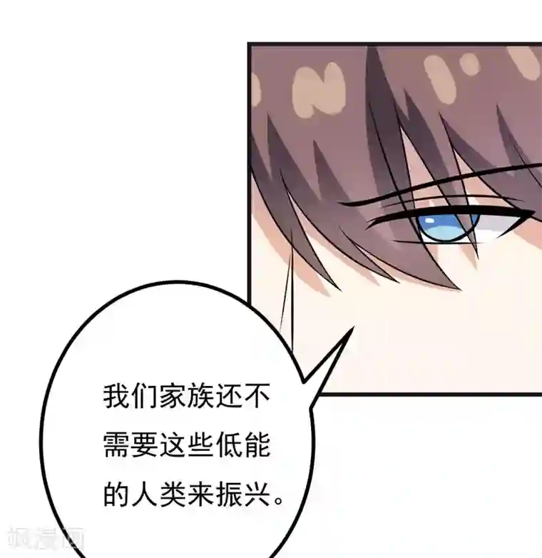 在下铲屎官：喵王在上第54话 消除记忆