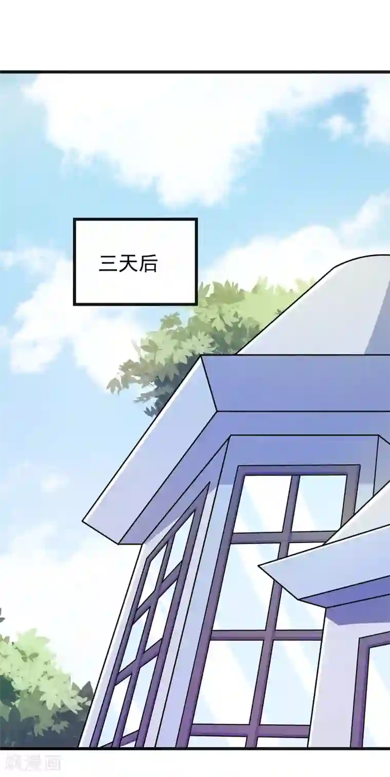 在下铲屎官：喵王在上第57话 夜不归宿
