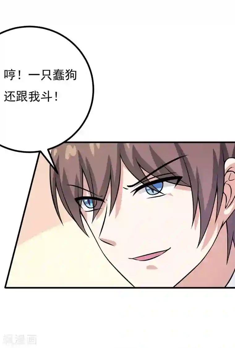 在下铲屎官：喵王在上第62话 香蕉个巴拉