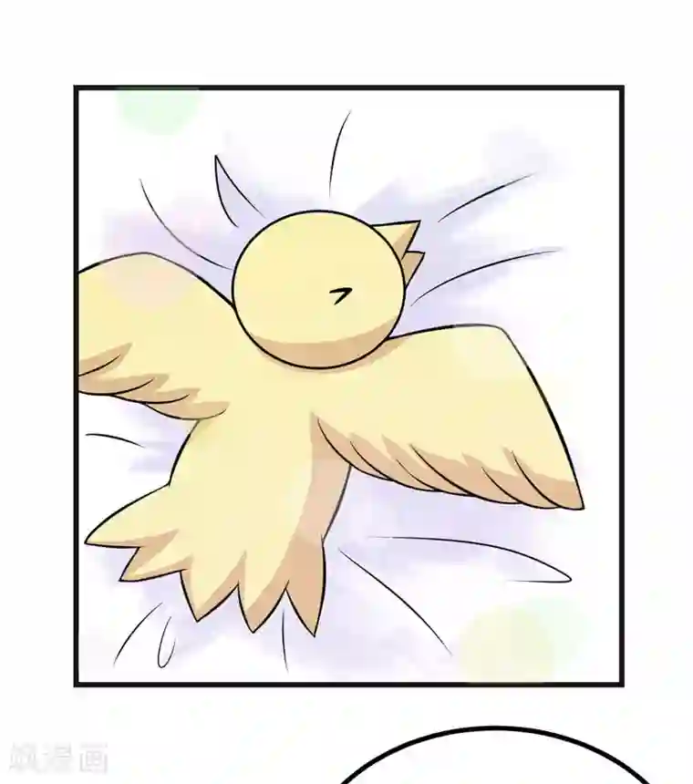 在下铲屎官：喵王在上第66话 生无可恋