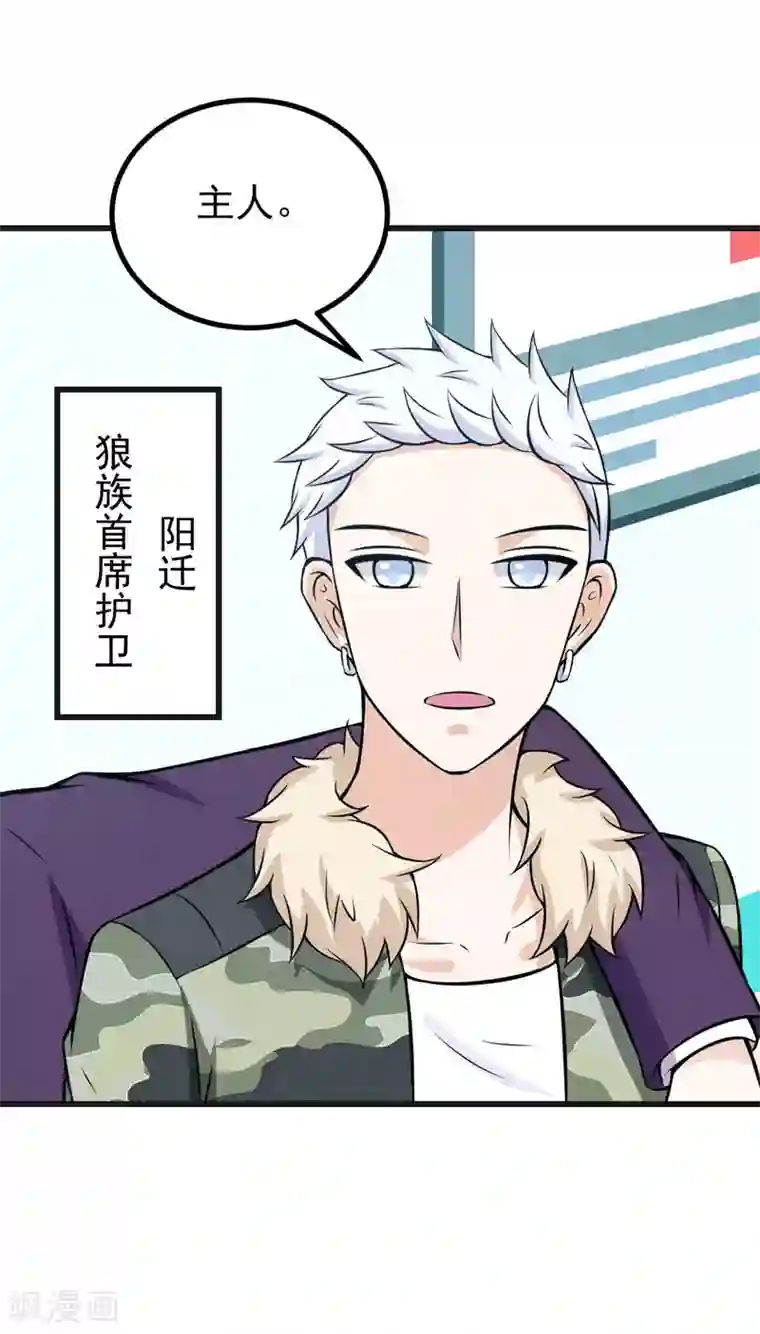 在下铲屎官：喵王在上第70话 你凶什么？