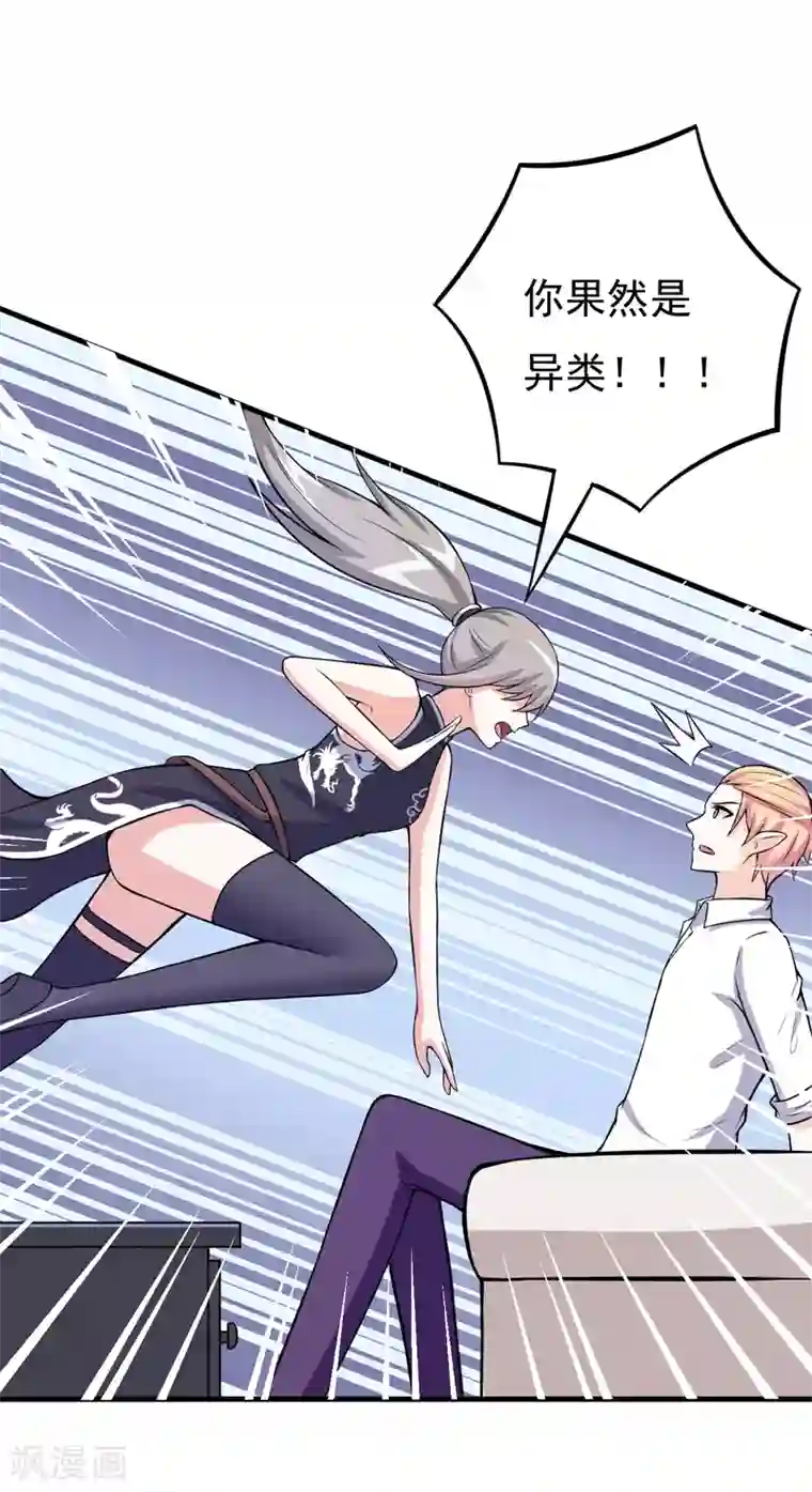 在下铲屎官：喵王在上第76话 遇上天敌