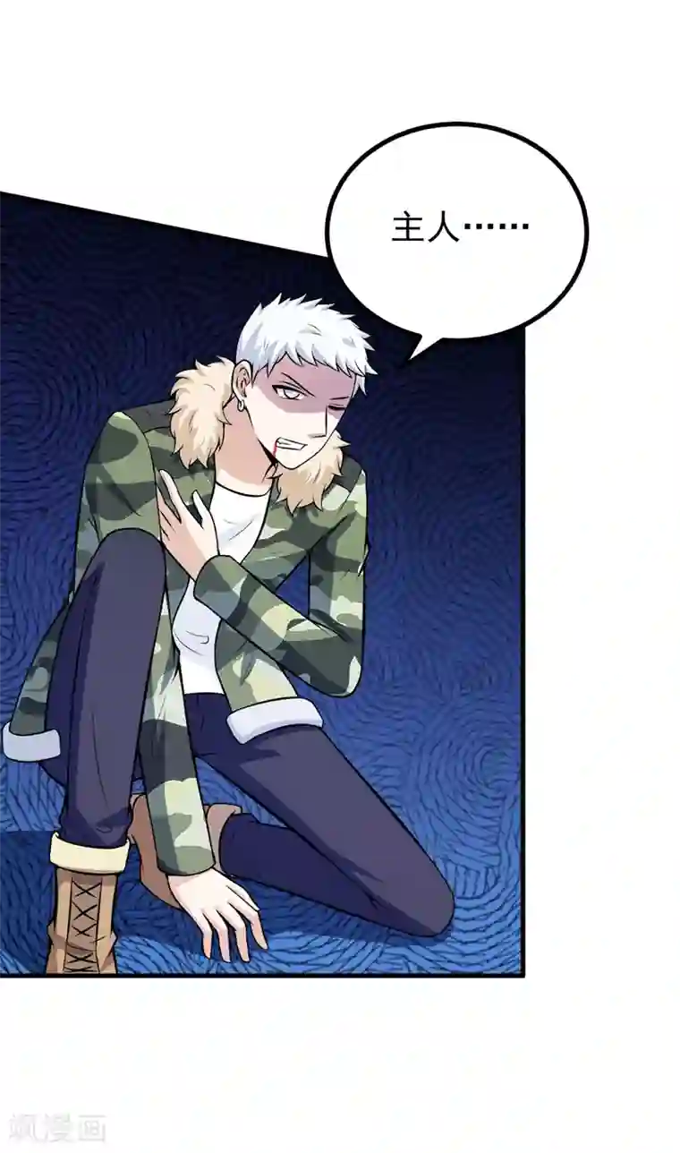 在下铲屎官：喵王在上第77话 重操旧业