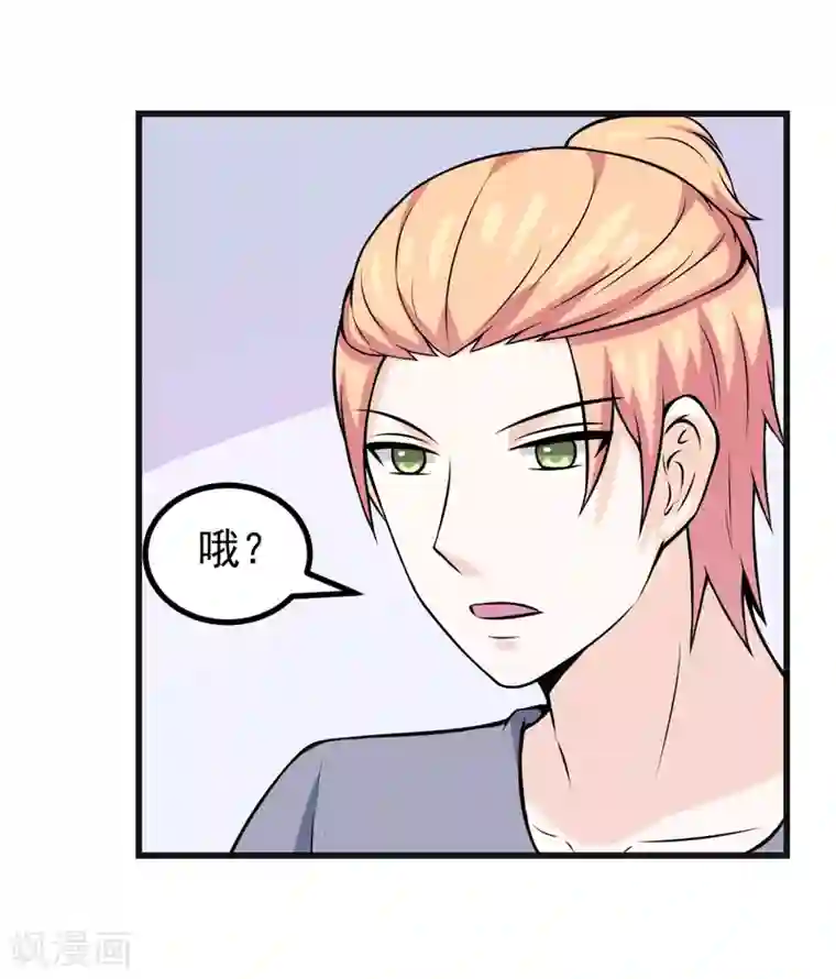 在下铲屎官：喵王在上第77话 重操旧业