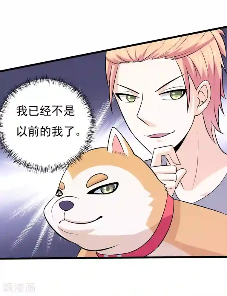 在下铲屎官：喵王在上第78话 委曲求全