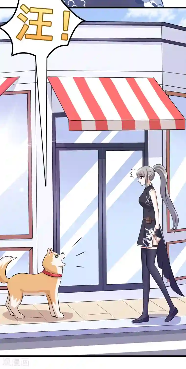 在下铲屎官：喵王在上第78话 委曲求全