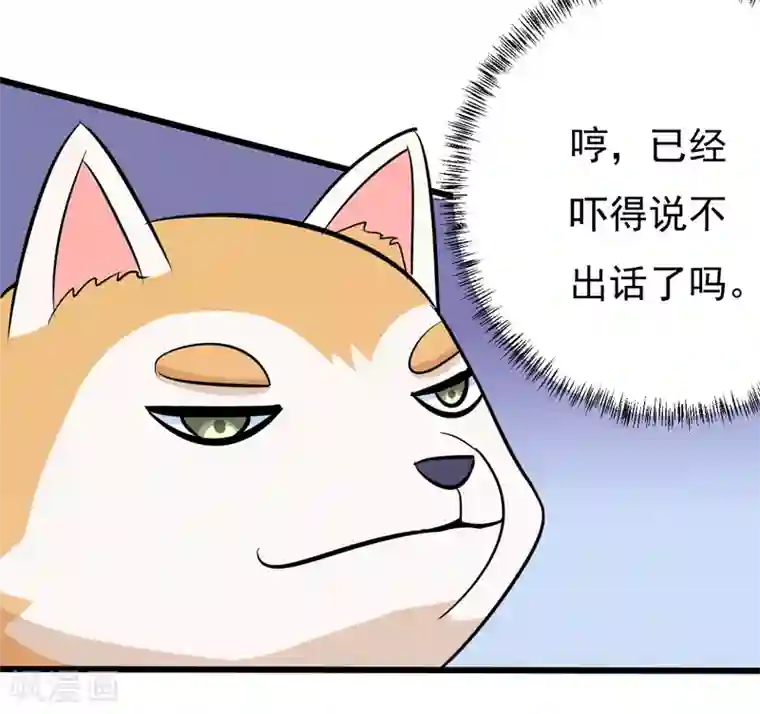 在下铲屎官：喵王在上第78话 委曲求全