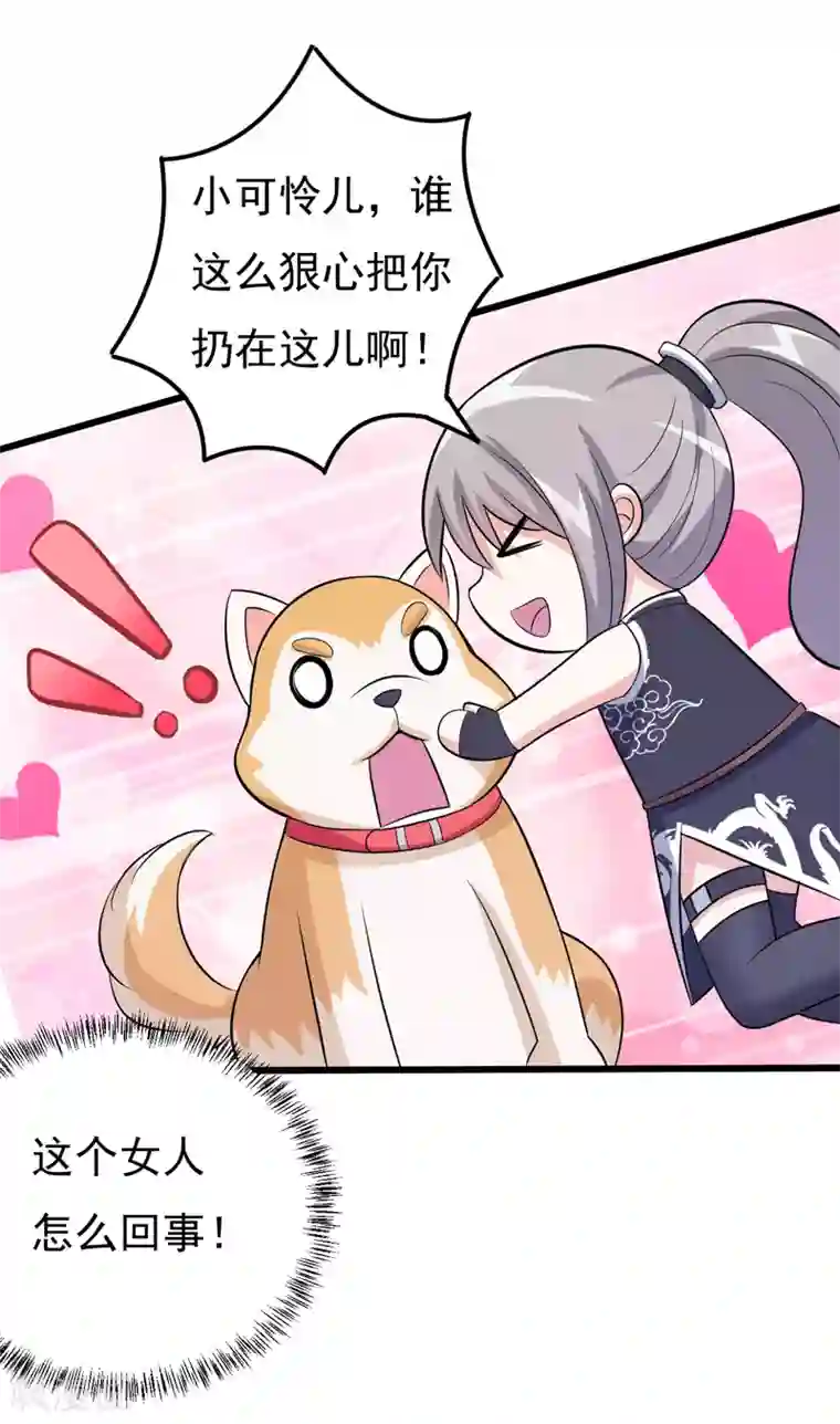 在下铲屎官：喵王在上第78话 委曲求全