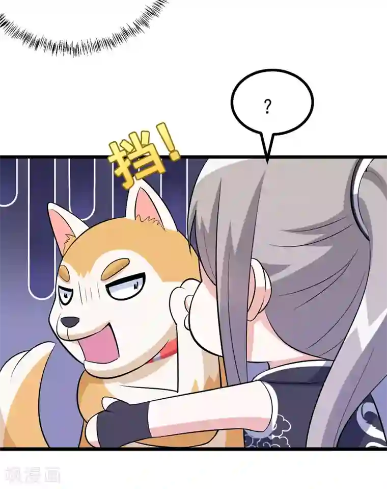 在下铲屎官：喵王在上第78话 委曲求全