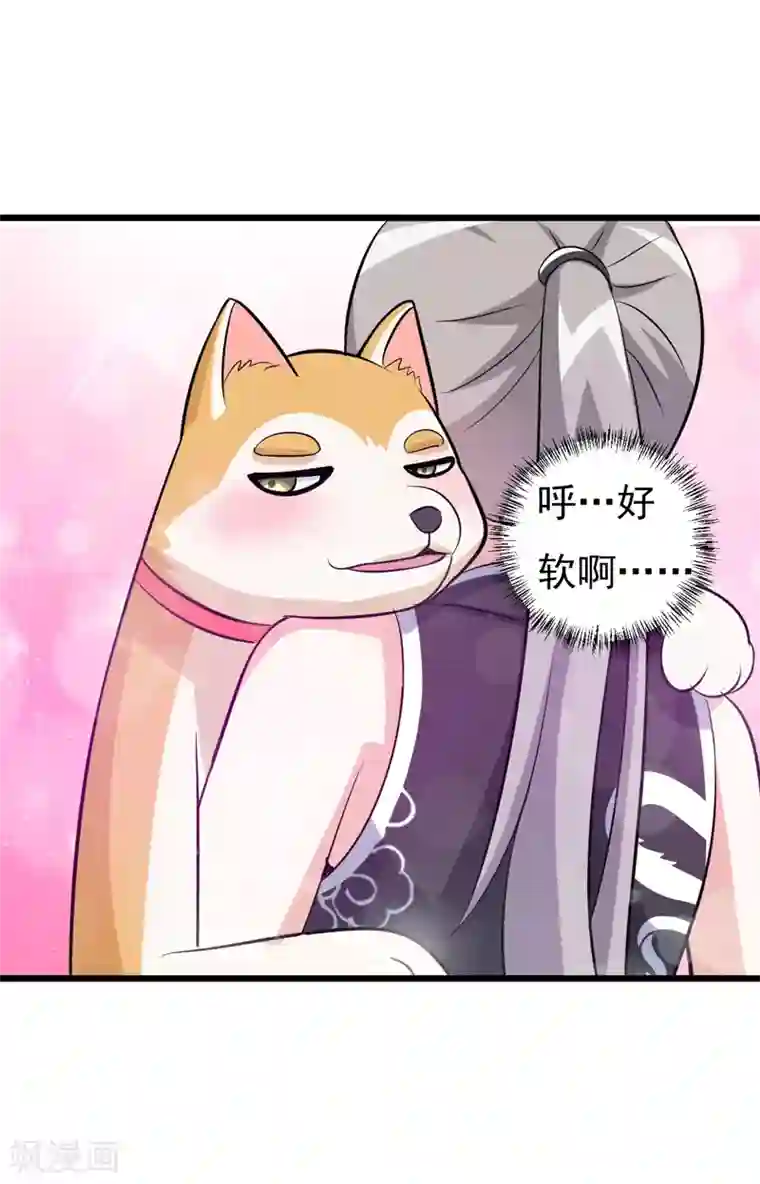 在下铲屎官：喵王在上第78话 委曲求全