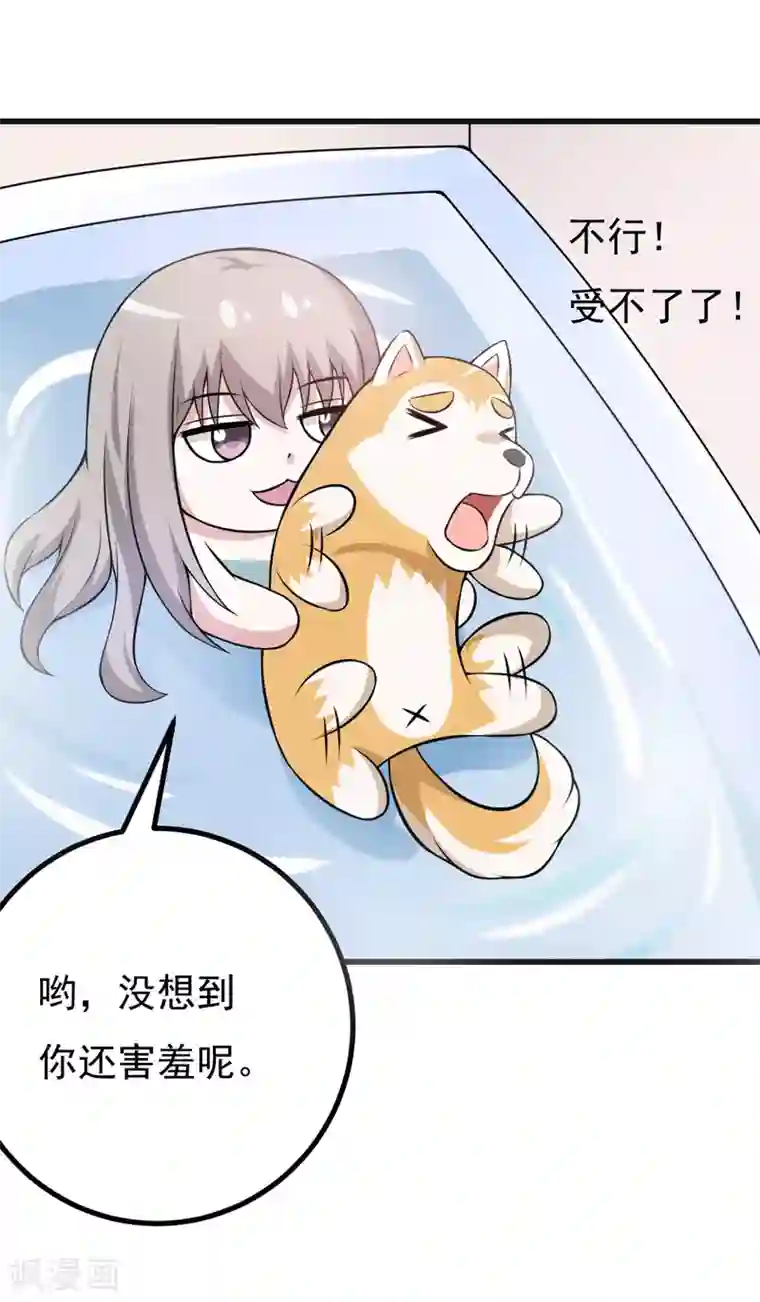在下铲屎官：喵王在上第79话 杀手锏
