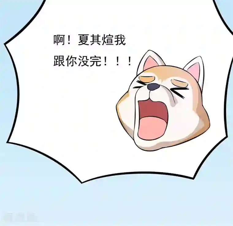 在下铲屎官：喵王在上第79话 杀手锏