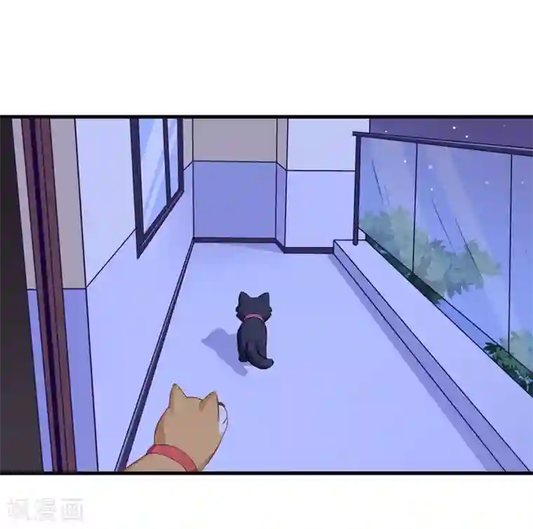 小仙夜晚慰自催眠mp3第82话 夜访马家