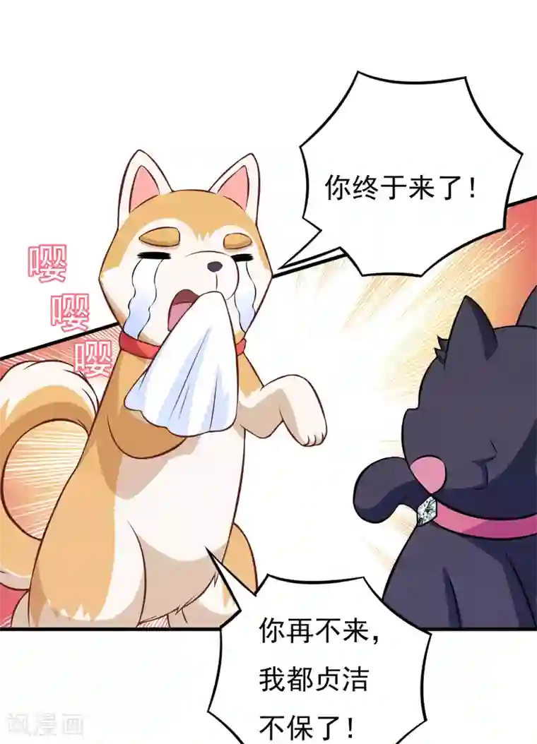 小仙夜晚慰自催眠mp3第82话 夜访马家