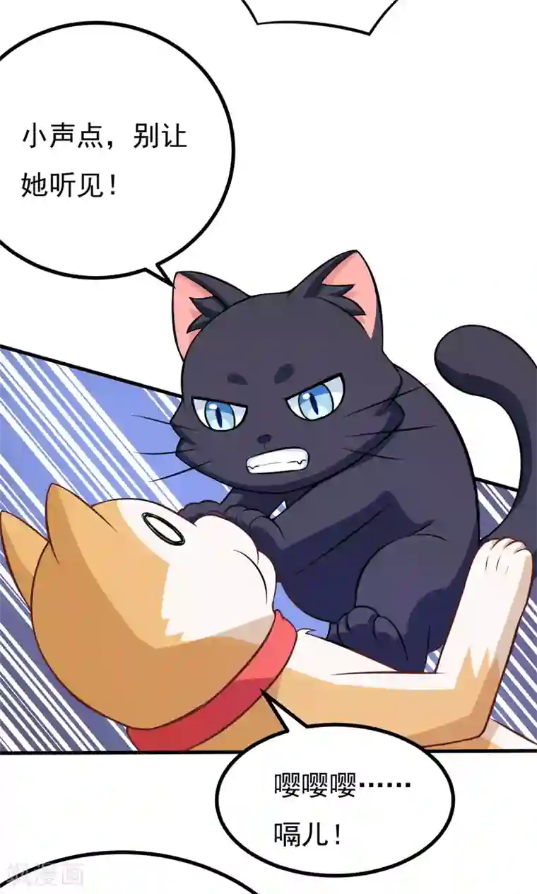 小仙夜晚慰自催眠mp3第82话 夜访马家