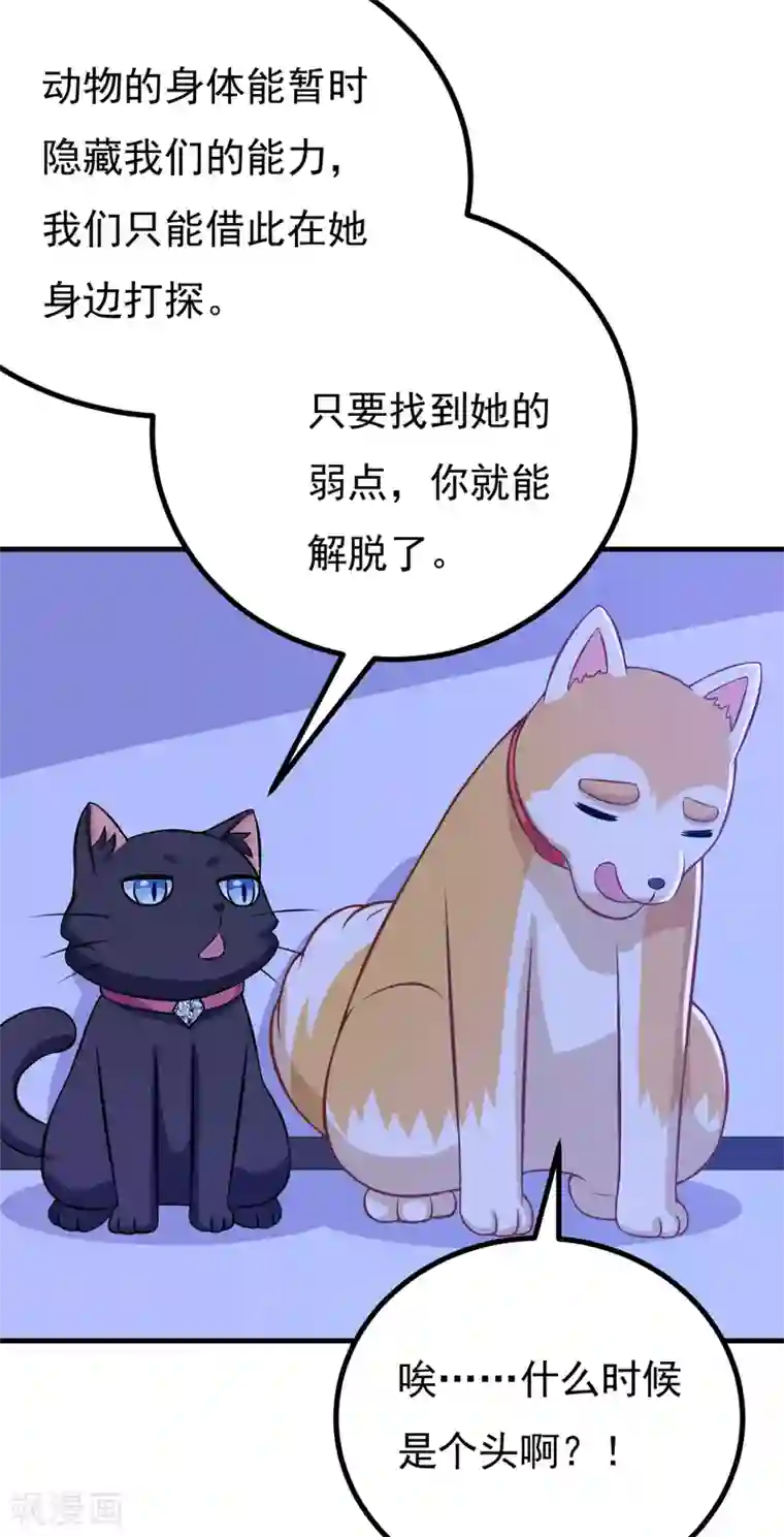 小仙夜晚慰自催眠mp3第82话 夜访马家