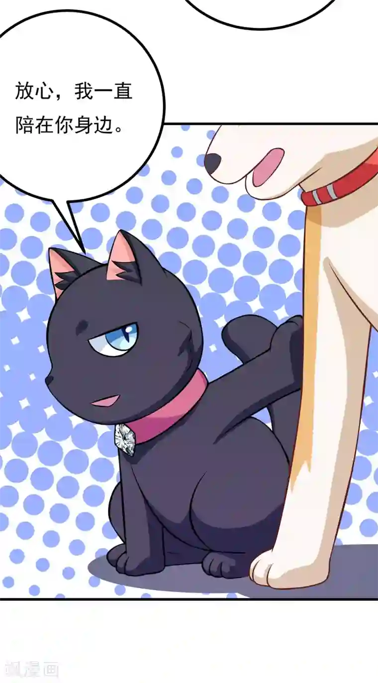 小仙夜晚慰自催眠mp3第82话 夜访马家