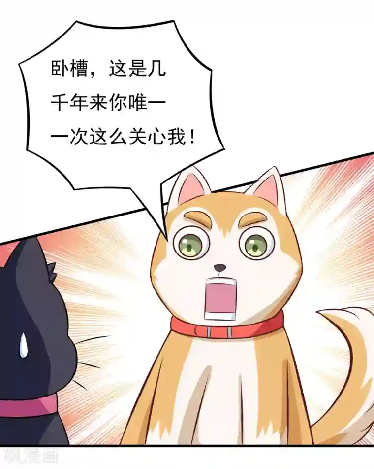 小仙夜晚慰自催眠mp3第82话 夜访马家