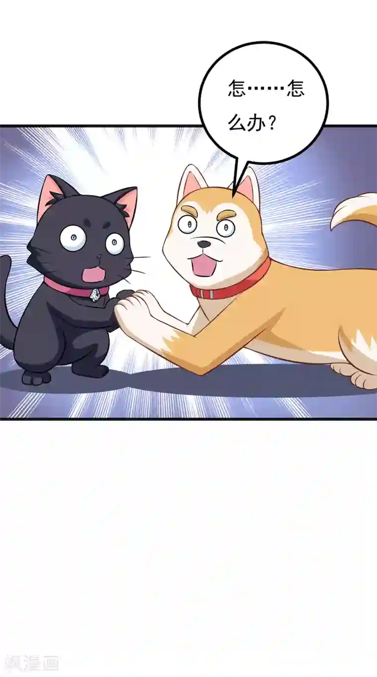 小仙夜晚慰自催眠mp3第82话 夜访马家