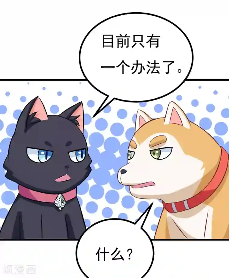 在下铲屎官：喵王在上第83话 奇怪的异变