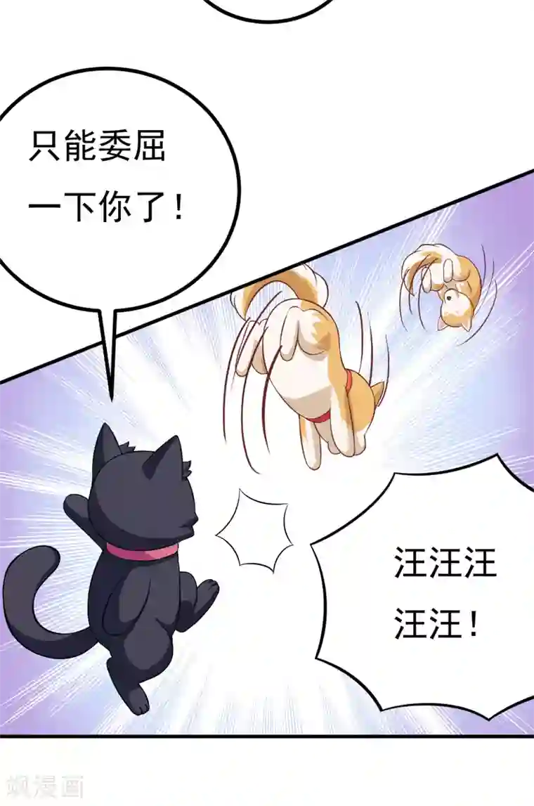 在下铲屎官：喵王在上第83话 奇怪的异变