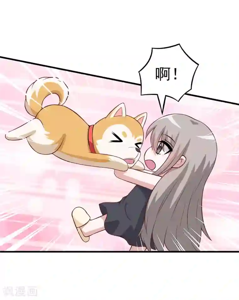 在下铲屎官：喵王在上第83话 奇怪的异变