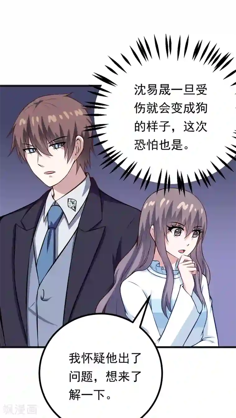 在下铲屎官：喵王在上第84话 怨灵来袭