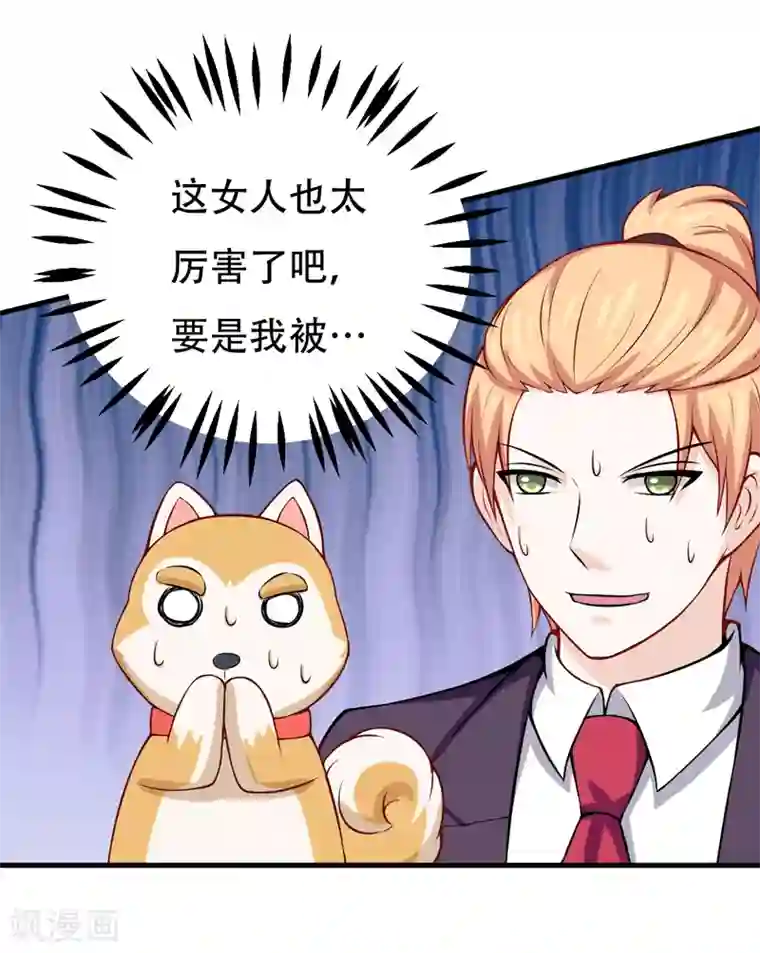 在下铲屎官：喵王在上第85话 逮到你们了！